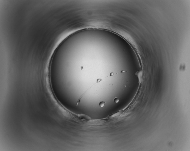 X0000103151440200808221320