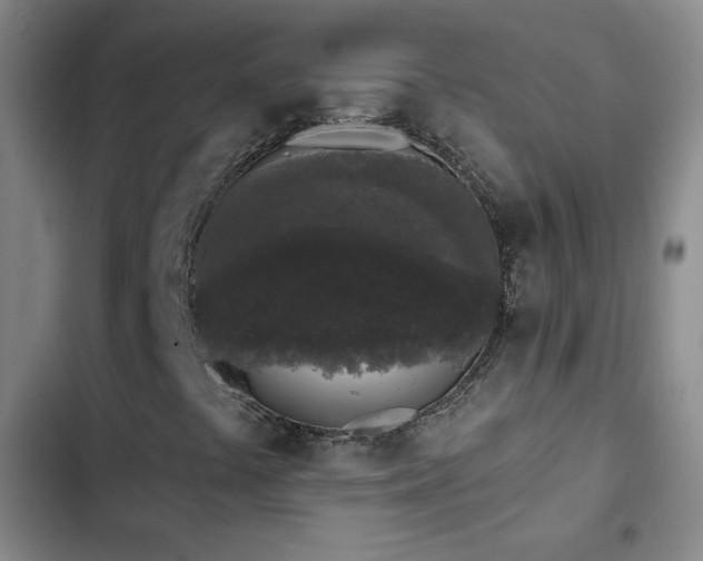 X0000103151441200808221319