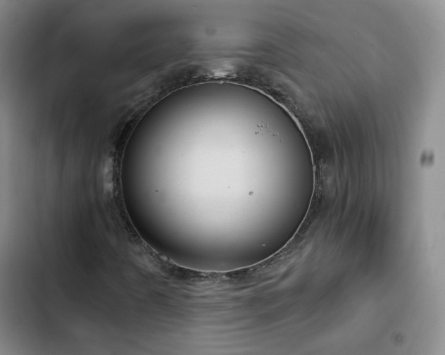 X0000103151442200808221319