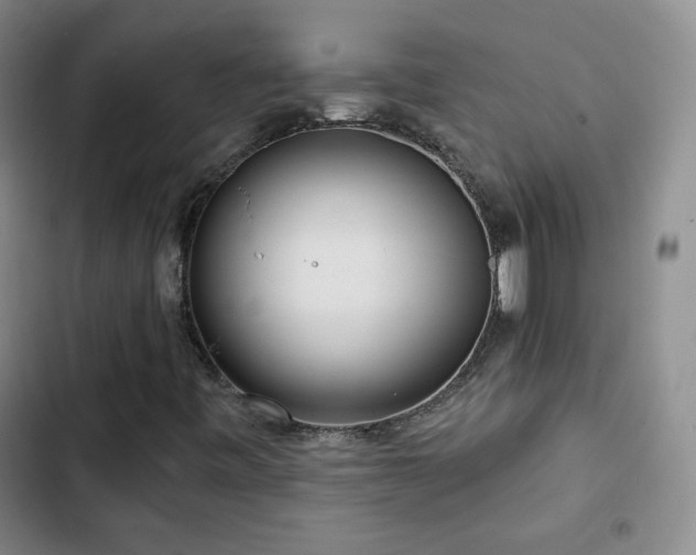 X0000103151443200808221319