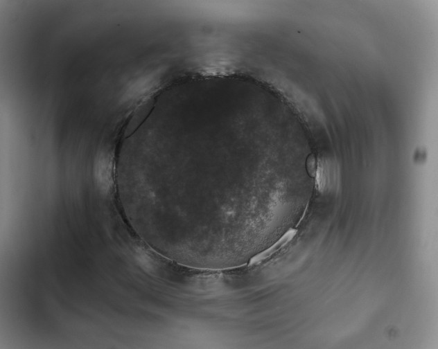 X0000103151444200808221319