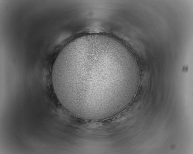 X0000103151446200808221319