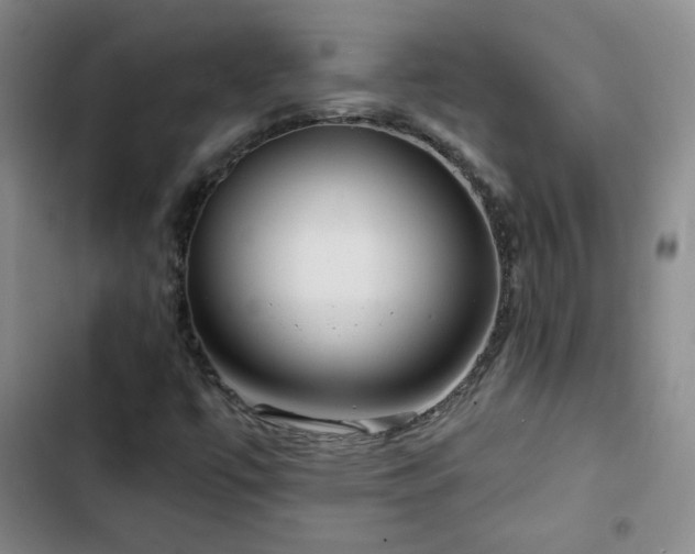 X0000103151447200808221319