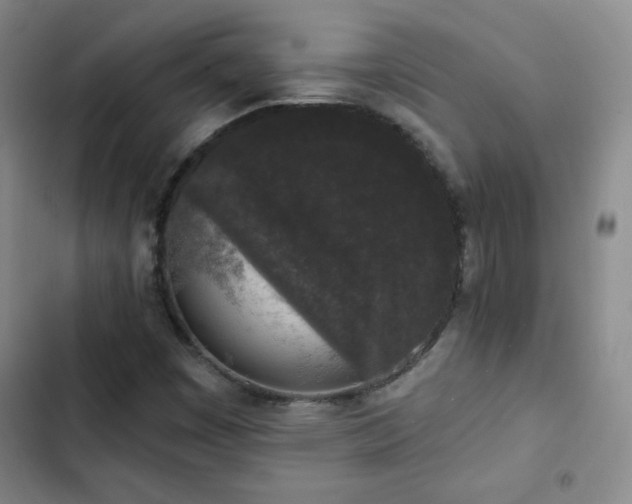 X0000103151449200808221319