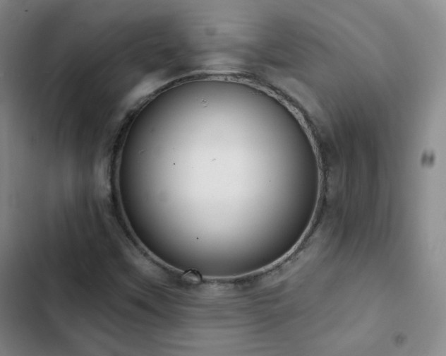 X0000103151451200808221319