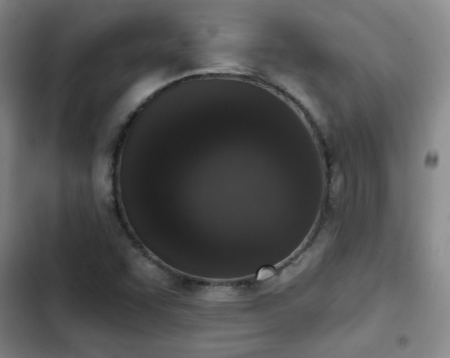 X0000103151455200808221319
