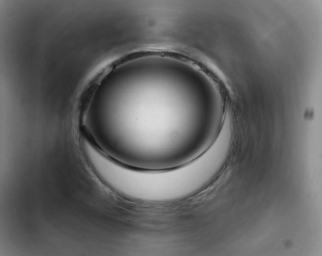 X0000103151456200808221319