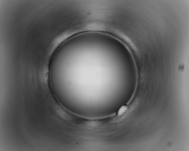 X0000103151461200808221319