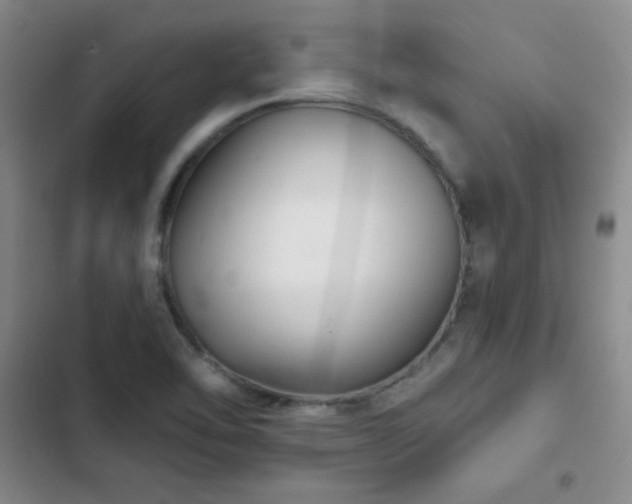X0000103151462200808221319