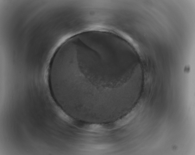 X0000103151463200808221319