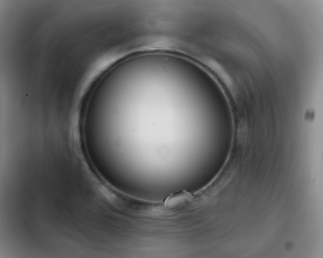 X0000103151464200808221319
