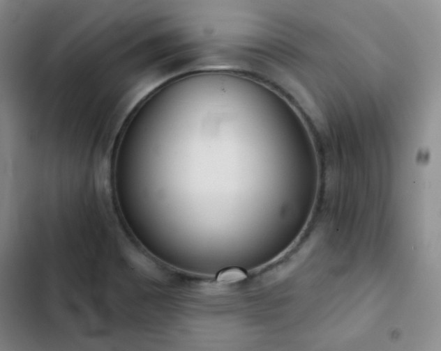 X0000103151465200808221319