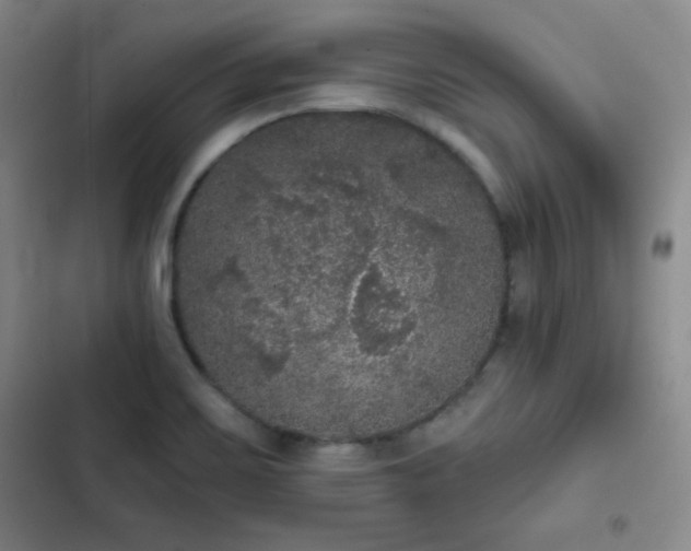 X0000103151467200808221319
