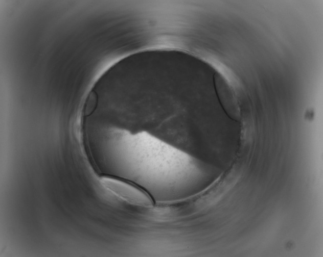 X0000103151468200808221319