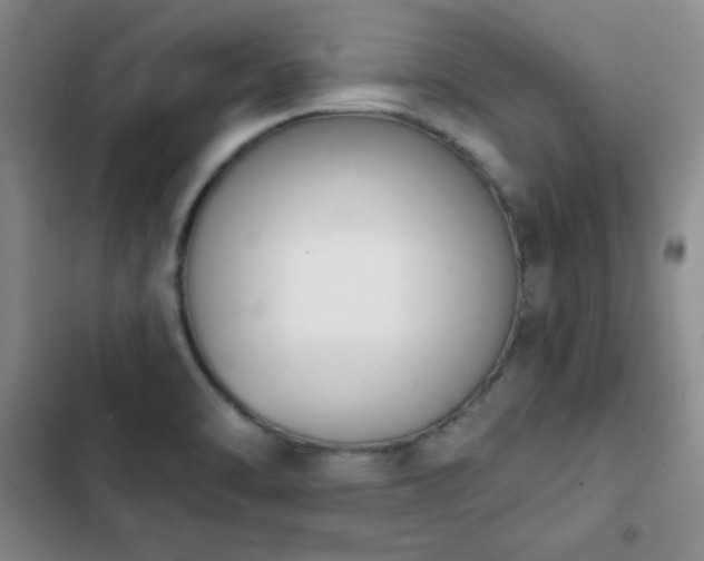 X0000103151470200808221319