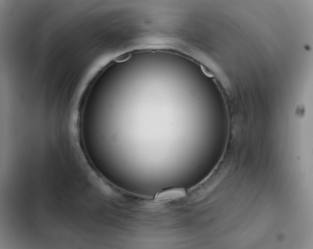 X0000103151472200808221319