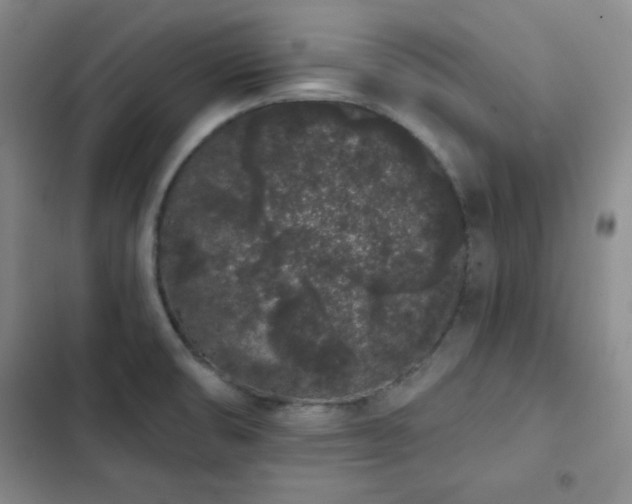 X0000103151474200808221319