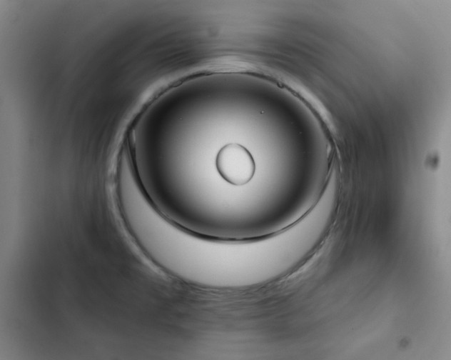 X0000103151477200808221319