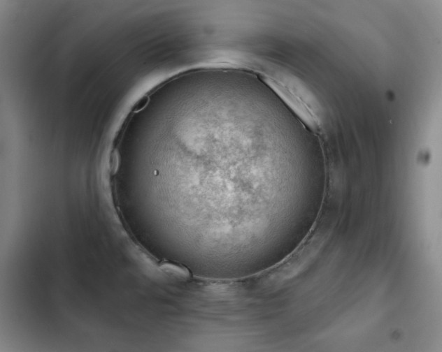 X0000103151480200808221319