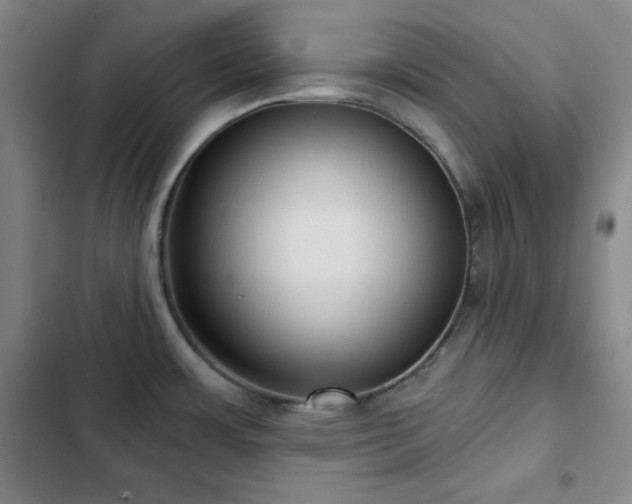 X0000103151483200808221319
