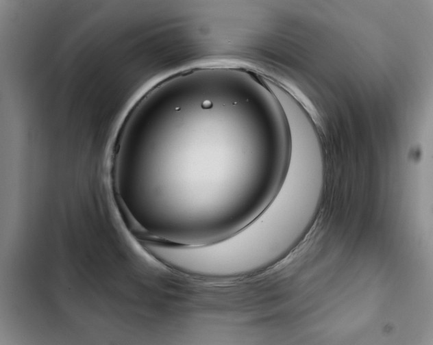 X0000103151484200808221319