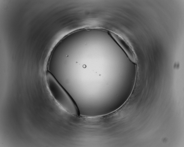 X0000103151488200808221319