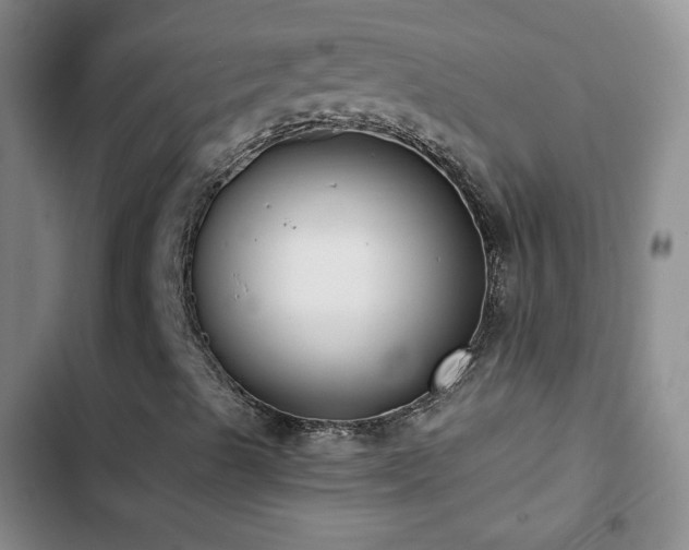 X0000103151489200808221318