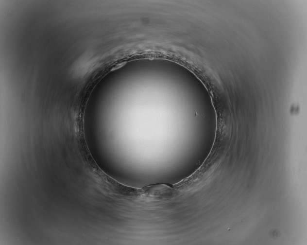 X0000103151490200808221318