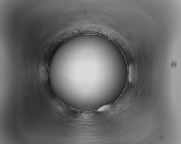 X0000103151491200808221318