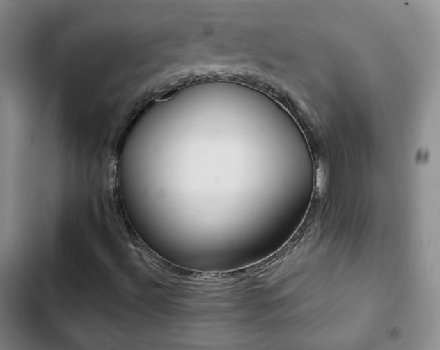 X0000103151492200808221318
