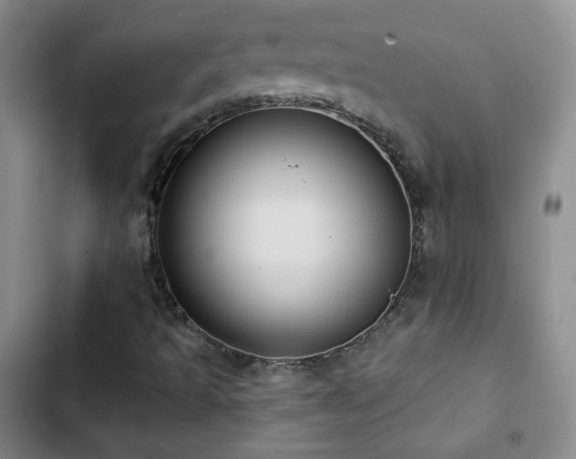 X0000103151493200808221318