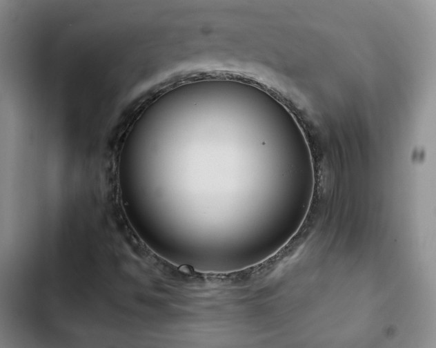 X0000103151494200808221318
