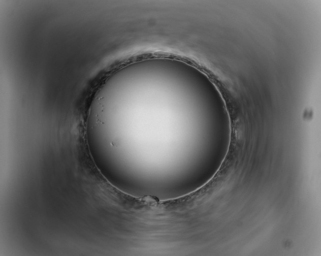 X0000103151495200808221318