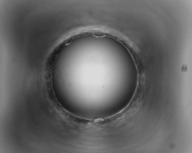 X0000103151496200808221318