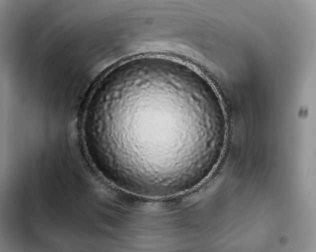 X0000103151497200808221318