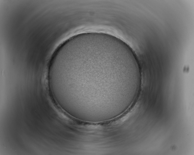 X0000103151498200808221318