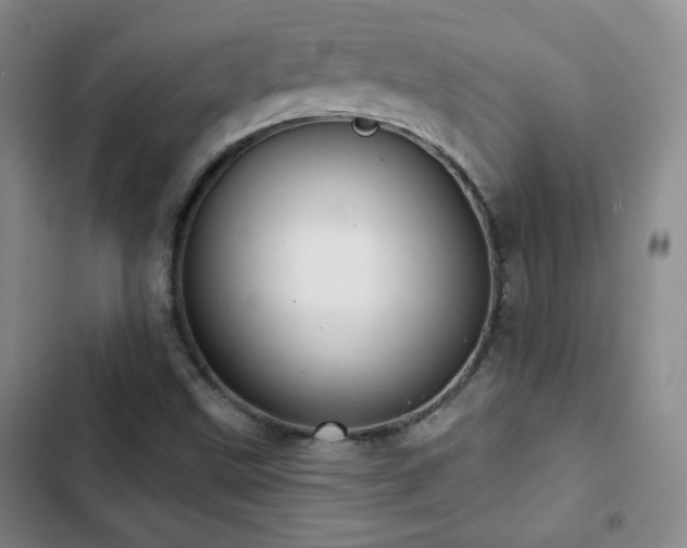 X0000103151499200808221318
