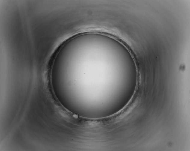 X0000103151501200808221318