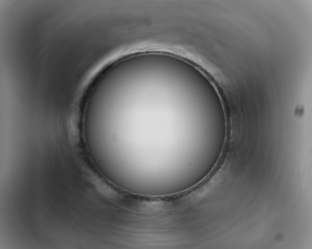 X0000103151502200808221318