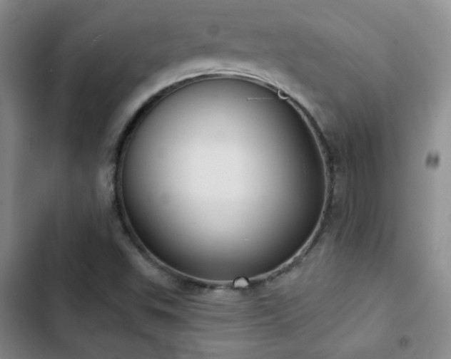 X0000103151503200808221318