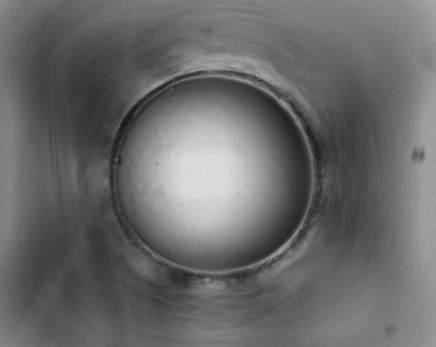X0000103151505200808221318
