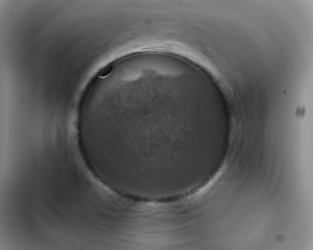 X0000103151506200808221318