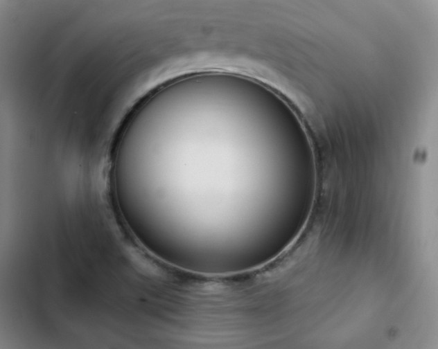 X0000103151507200808221318