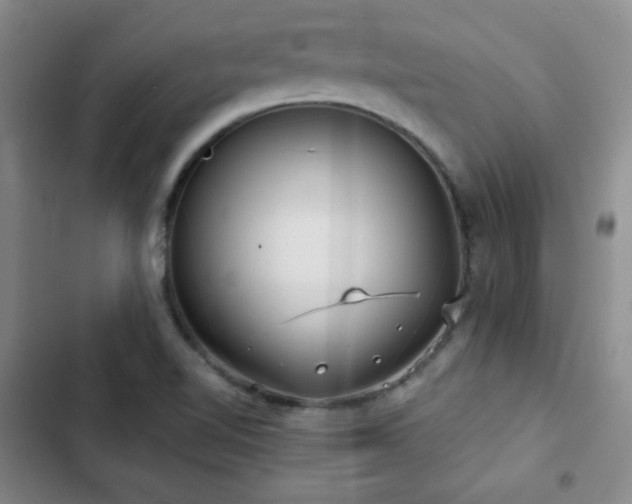 X0000103151510200808221318