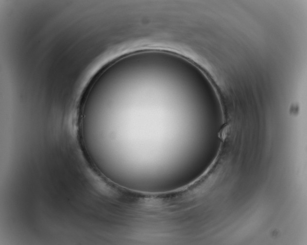 X0000103151511200808221318