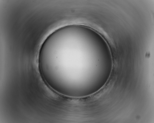 X0000103151512200808221318