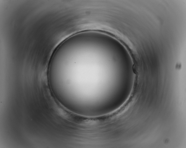 X0000103151513200808221318
