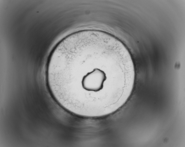 X0000103151514200808221318