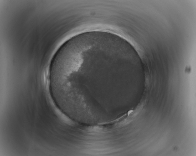 X0000103151515200808221318