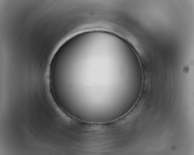 X0000103151516200808221318